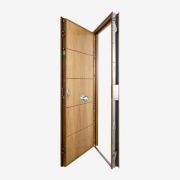 puerta exterior estructura metalica